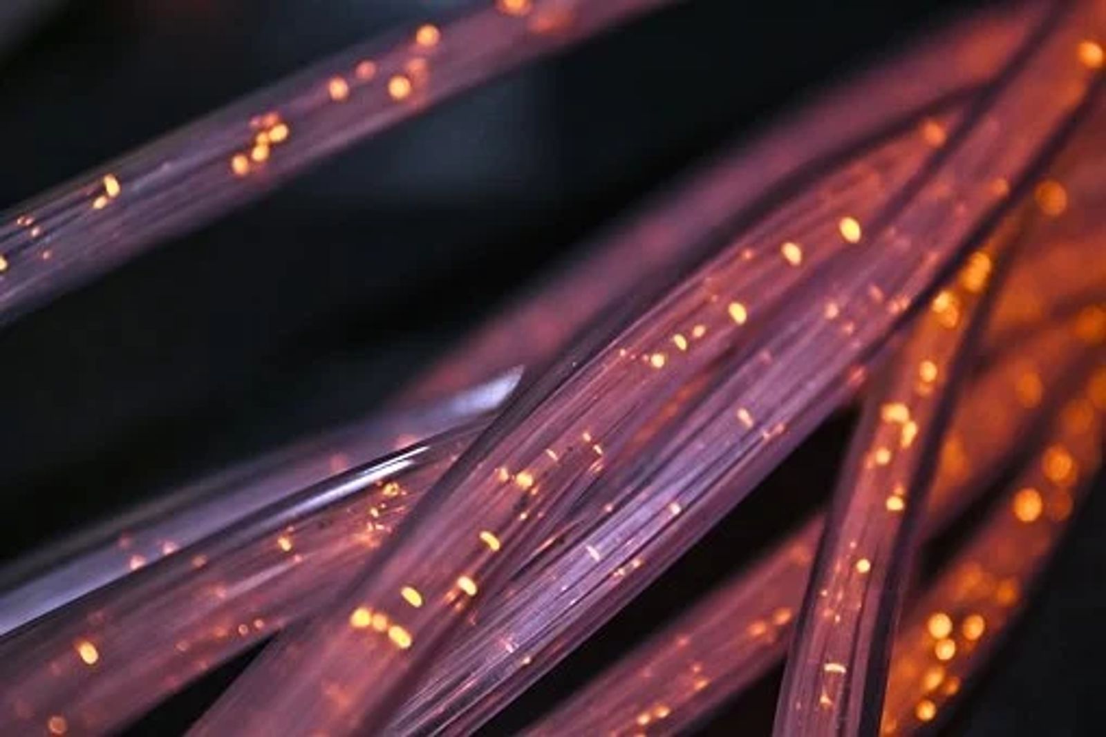 Close-up of glowing fiber optic cables.
